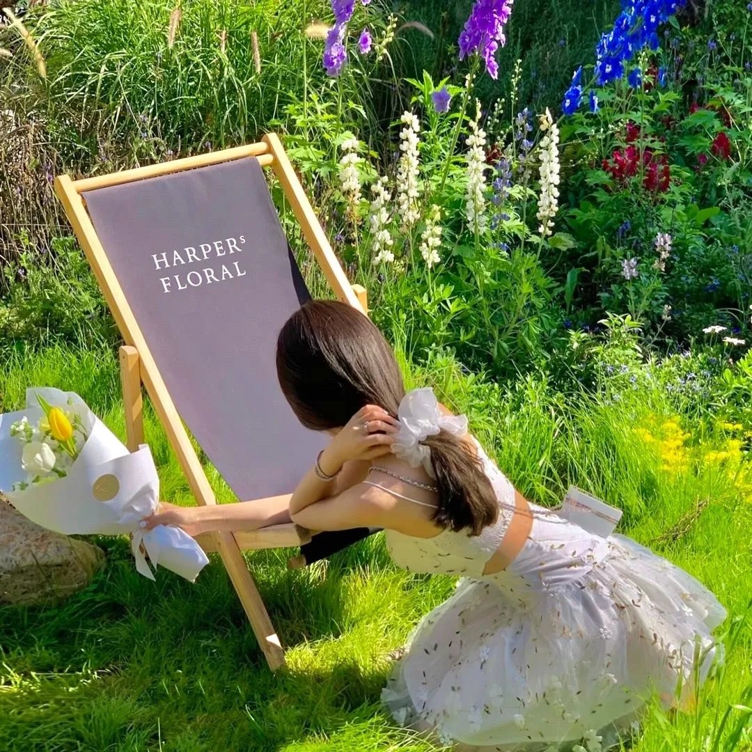 柏拉图关系第二季